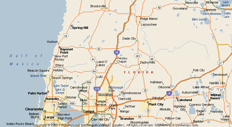 map-of-wesley-chapel